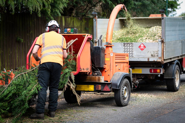 Best Dead Tree Removal  in Siler City, NC